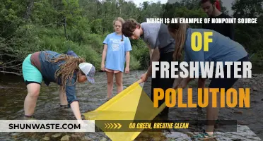 How Human Activities Pollute Freshwater Sources