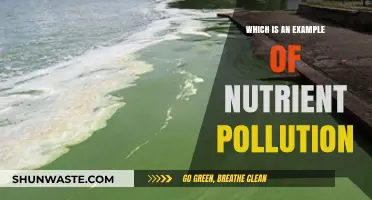 Nutrient Pollution: Farm Runoff and its Impact