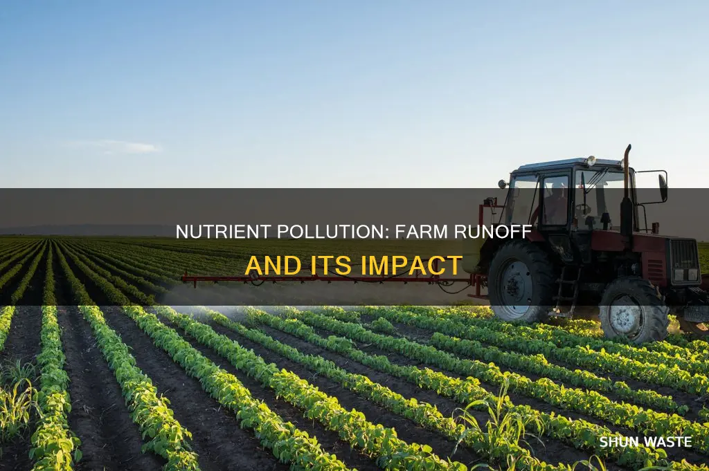 which is an example of nutrient pollution
