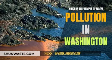 Seattle's Industrial Waste: A Case of Water Pollution in Washington