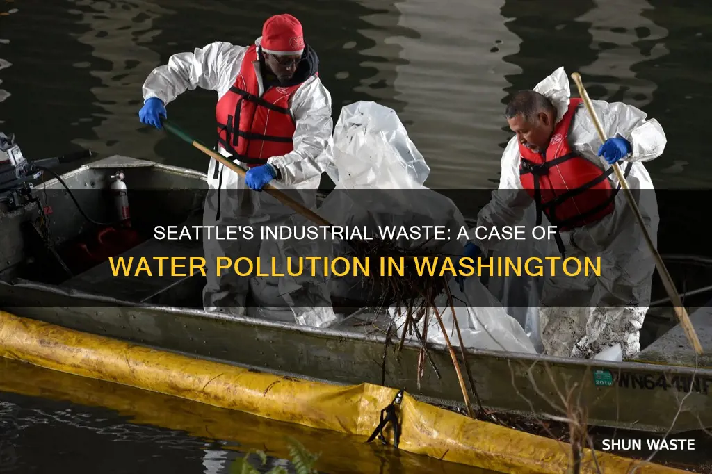 which is an example of water pollution in washington