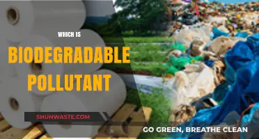 Green Solutions: Biodegradable Pollutants and Their Impact