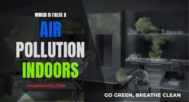Indoor Air Pollution: Uncovering the Truth