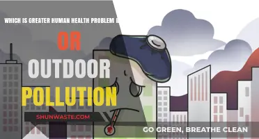 Human Health: Indoor vs. Outdoor Pollution Problems