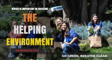 Creating a Helping Environment: Key Factors for Supportive Spaces