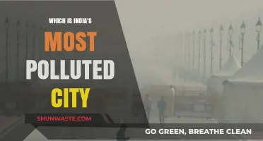Indian Cities Choking Under Smog: Who's the Worst Offender?