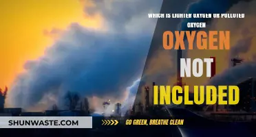 Oxygen Not Included: The Weight of Pollution