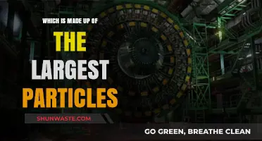 What's the Largest Particle in the Universe?