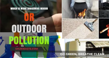 Indoor vs Outdoor Pollution: Which is Deadlier?