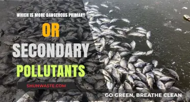 Primary vs Secondary Pollutants: What's the Deadlier Danger?