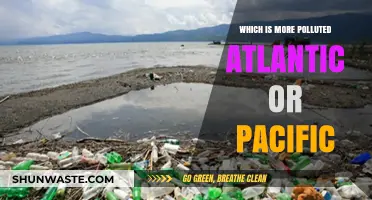 Atlantic vs Pacific: Who's the Pollution Winner?