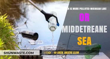 The Great Lakes vs. Mediterranean: Pollution Battle