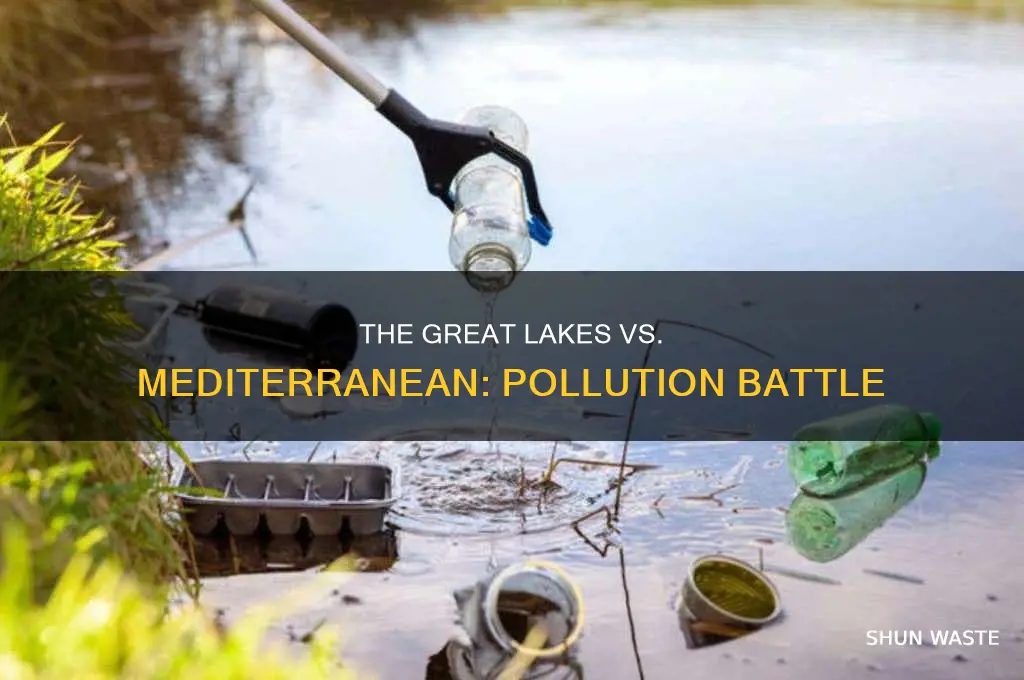 which is more polluted michigan lake or middetreanean sea