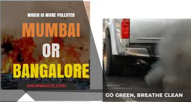 Air Quality Face-Off: Mumbai vs. Bangalore