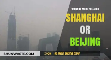 Air Quality Face-Off: Shanghai vs Beijing