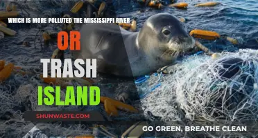 Trash Island vs Mississippi: Who's the Pollution King?