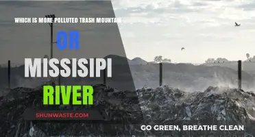 Trash Mountain vs Mississippi River: Pollution Battle