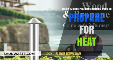 Wood vs. Propane: Which Fuel Source is Greener?