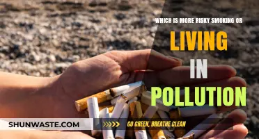 Smoking vs Pollution: Who's the Deadlier Killer?
