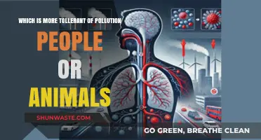 Who's More Resilient to Pollution: People or Animals?
