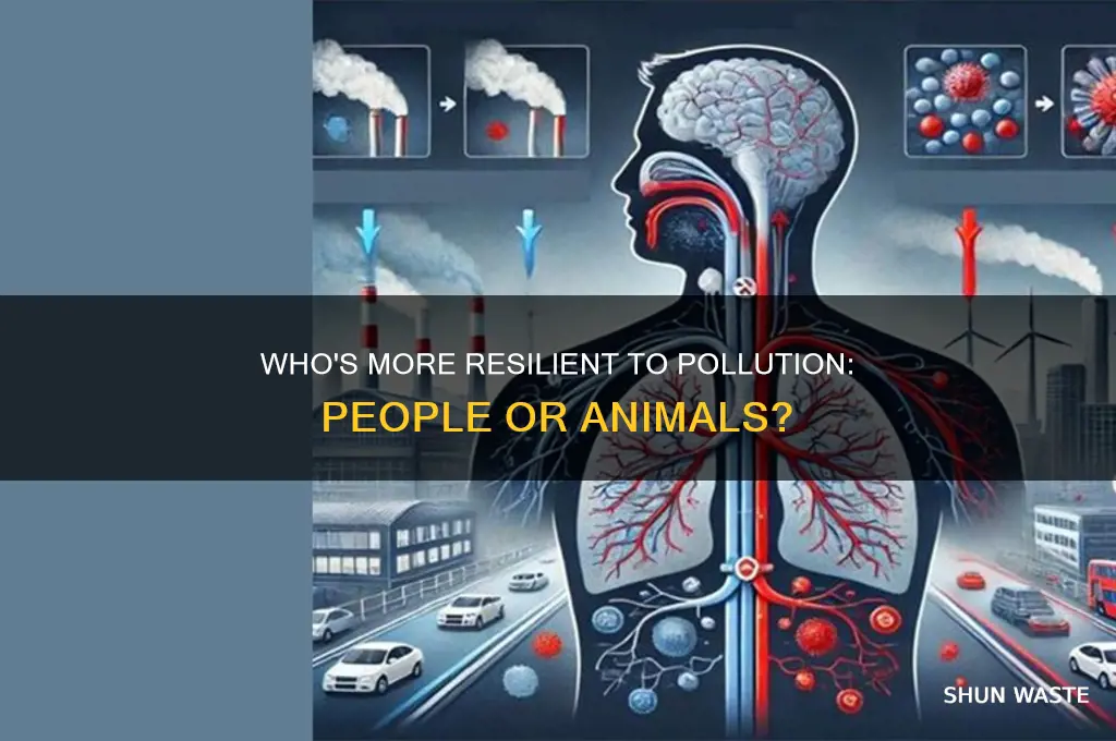 which is more tollerant of pollution people or animals