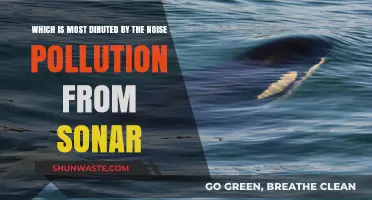 Sonar's Impact: Who Suffers Most from Noise Pollution?