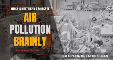 Air Pollution: The Culprits and Their Sources