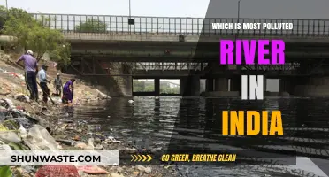 India's Most Polluted Rivers: A Troubling Overview
