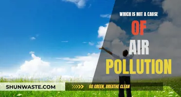 Air Pollution: What's Not Causing It?