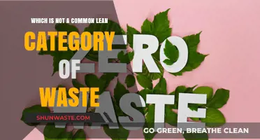 Unveiling the Unexpected: Identifying Non-Standard Lean Waste Categories
