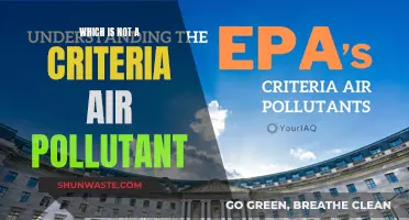 Air Pollutants: What's Not a Criteria Pollutant?