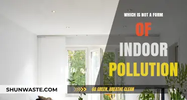 Indoor Air Quality: What's Not Polluting Your Home