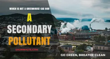 Greenhouse Gases and Secondary Pollutants: What's Missing?