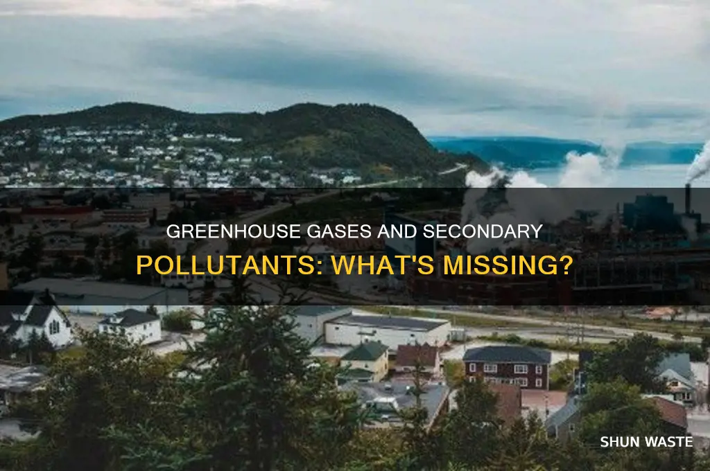 which is not a greenhouse gas nor a secondary pollutant