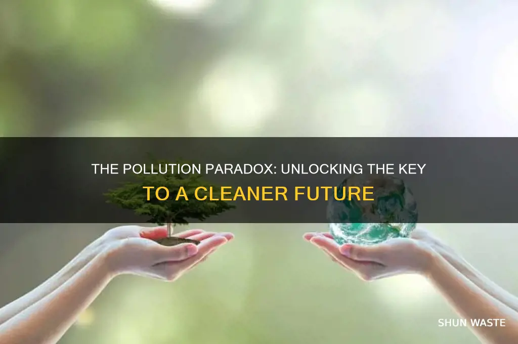 which is not a key problem of pollution