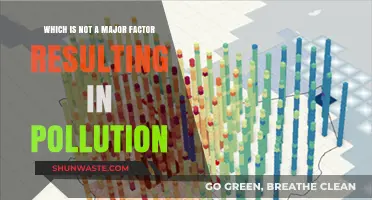 The False Culprit: Pollution's Unlikely Sources