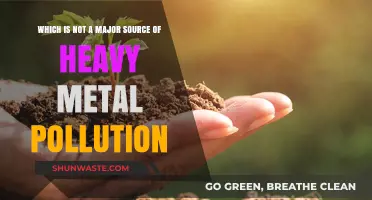 Heavy Metal Pollution: What's Not a Major Source?