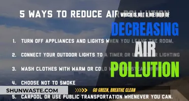 How Not to Reduce Air Pollution