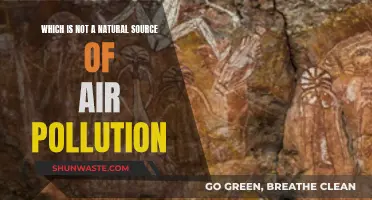 Air Pollution: Unnatural Sources and Their Impact