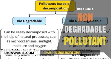 Green and Clean: Non-Degradable Pollutant Solutions