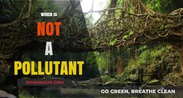 Air, Water, and Soil: What's Not a Pollutant?
