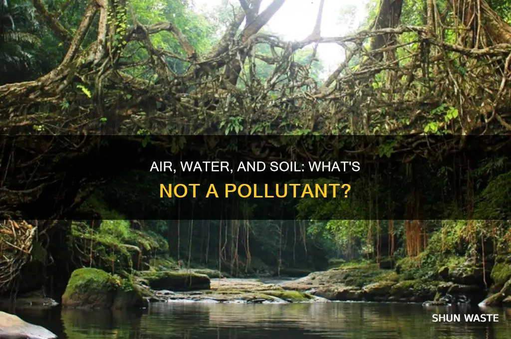 which is not a pollutant