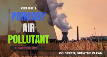 Air Pollutants: What's Primary and What's Not?