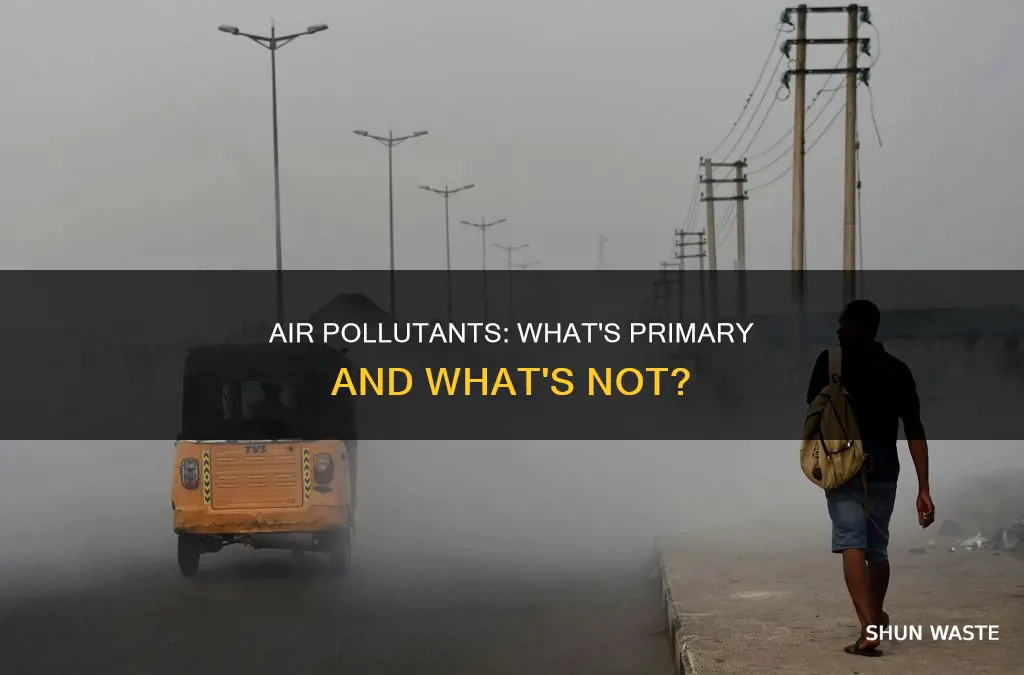 which is not a primary air pollutant