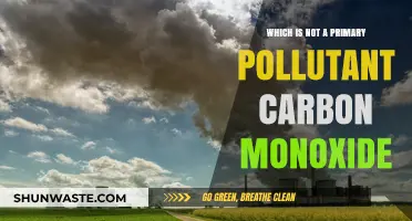 Carbon Monoxide: A Secondary Pollutant's Impact