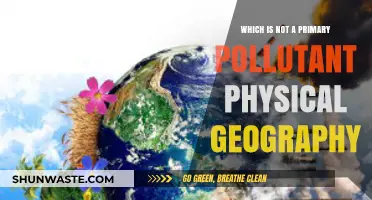 Primary Pollutants: What They Are Not in Physical Geography