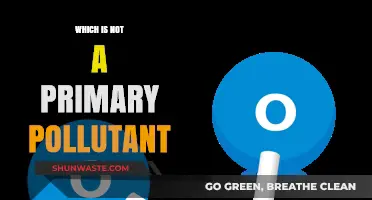 Understanding Primary Pollutants: What They Are Not