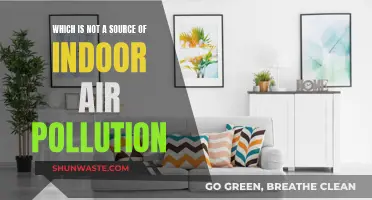 Air Purification: Identifying Non-Pollution Sources at Home
