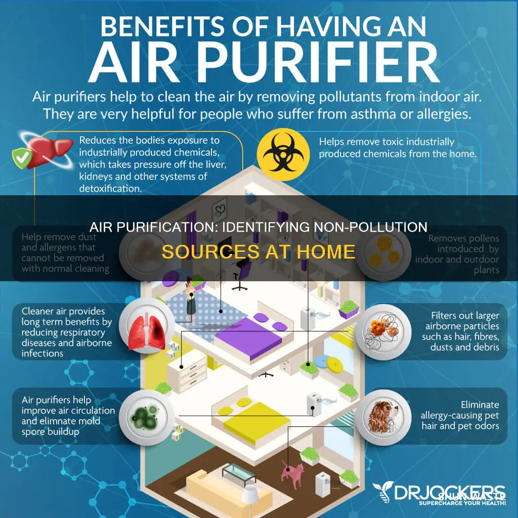 which is not a source of indoor air pollution