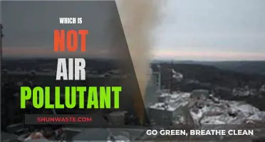 Air Quality: What Isn't Polluting Our Air?